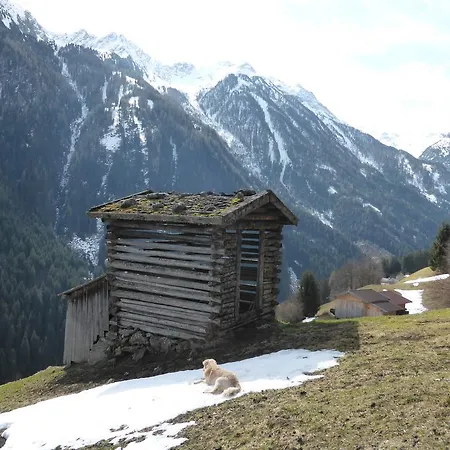 Bed & Breakfast Steinadler *