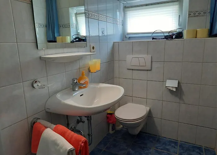 Steinadler نيوستيف ام ستوبيتا